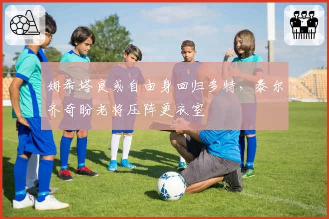 姆希塔良或自由身回归多特，泰尔齐奇盼老将压阵更衣室
