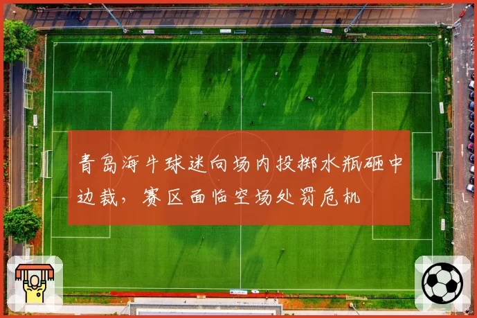 青岛海牛球迷向场内投掷水瓶砸中边裁,赛区面临空场处罚危机
