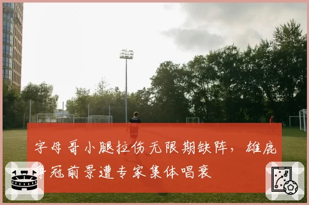 字母哥小腿拉伤无限期缺阵，雄鹿争冠前景遭专家集体唱衰