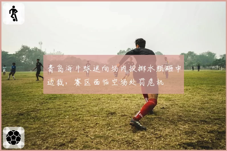 青岛海牛球迷向场内投掷水瓶砸中边裁,赛区面临空场处罚危机
